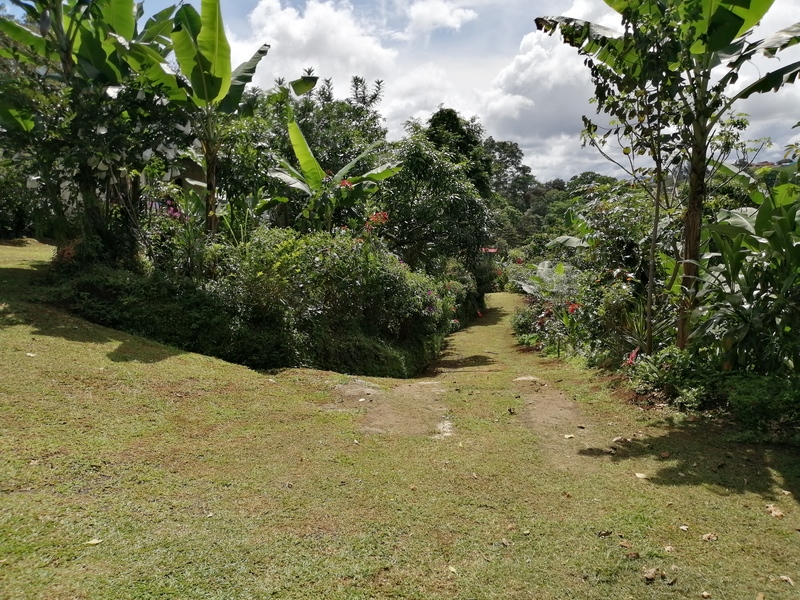 Land For Sale in Costa Rica Coldwell Banker Costa Rica